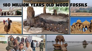 180 MILLION YEARS OLD WOOD FOSSILS 😲😲 || TANOT MATA MANDIR || BADA BAGH || GADISAR LAKE