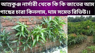 Amrakunja nursery medinipur,আম্রকুঞ্জ নার্সারীর চারা গাছের দাম সমেত রিভিউ, আমি কি কি গাছ কিনলাম।