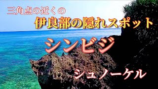 【伊良部の隠れスポット】シンビジ【宮古島シュノーケル】