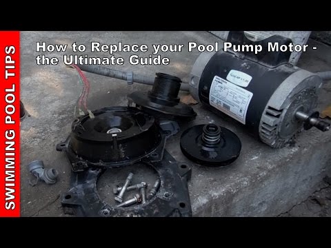 How to Replace a Pool Pump Motor -The Ultimate Video Guide How to Replace a Pool Pump Motor -The Ultimate Video Guide