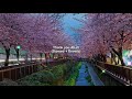 Maher Zain - Thank You Allah (Slowed + Reverb)