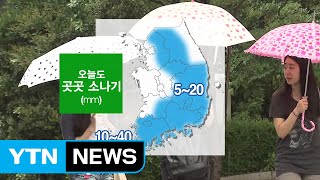 [날씨] 오늘도 곳곳 소나기...기온 올라 후텁지근 / YTN (Yes! Top News)