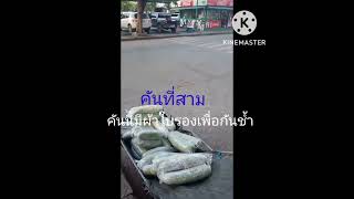 พามาดูรถเข็นในตลาดไท แต่ละคันขนของได้เยอะ ถ้าชอบกดติดตามให้ด้วยครับ