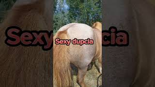 JAK NA MNIE MÓWIĄ ? #baśka #kucyk #konie #stajnia #miłośćdokoni #życie #equestrian #name #sexydupcia