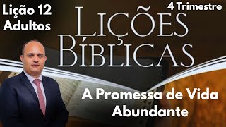 EBD Adultos: A Promessa de Vida Abundante  (Lição 12 - 4º Tri 2024)