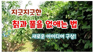 지긋지긋한 칡과 풀을 없애는 좋은 방법을 구상해 보았습니다.흑염소 방목장 만들기.염소 사육장만들기.칡덩굴 제거