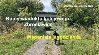 Przezchlebie. Ruiny wiaduktu kolejowego. Zbrosławice. Milan Piekarnia Cukiernia. Ziemięcice. Śląskie