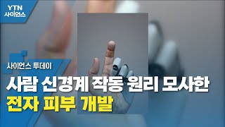 사람 신경계 작동 원리 모사한 전자 피부 개발 / YTN 사이언스