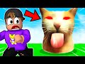 ROBLOX ESCAPE BLEH CAT!