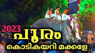 വർണ്ണാഭം പട്ടാമ്പി പന്തക്കൽ പൂരം| Panthakkal pooram | Pattambi | Prasad Pattambi | Parannur nandhan