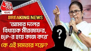 'আমার দলের বিধায়ক মীরজাফর, BJP-র হয়ে কাজ করে', কে এই মমতার শত্রু? Gosaba | TMC MLA | Inner Clash PN