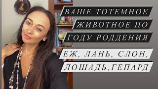 Еж, Лань, Слон, Конь, Гепард - Ваше тотемное животное по году рождения#