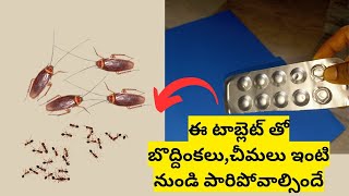 ఈ టాబ్లెట్ తో బొద్దింకలు,చీమలు ఇంటి నుండి పారిపోవాల్సిందే || cockroach \u0026 ant killer ఇంట్లో వాటితోనే