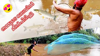 വെള്ളത്തിൽ ഇറങ്ങി നിന്നൊരു മീൻപിടുത്തം 🥰 | Traditional Village Monsoon Fishing in Kerala Malayalam