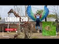 London Zoo Family Vlog With My 3 Years Old Toddler 🌞