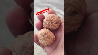 Kashmiri walnut #subscribe #healthy fruits #share #comment #travel #vibes #trending #shorts #youtube