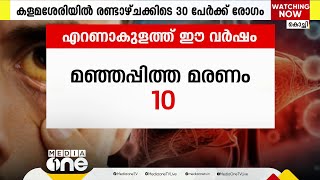 എറണാകുളം ജില്ല വീണ്ടും മഞ്ഞപ്പിത്ത ഭീതിയില്‍; ഈ വർഷം രോ​ഗം ബാധിച്ച് മരിച്ചത് 10 പേർ