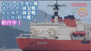 2021/9/13 潜水艦・はたかぜ(練習艦)・せとゆき(練習艦)・しらせ(砕氷艦) 曇り空で風が吹く中、航行中！