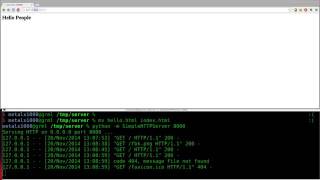 Setup a Webserver with Python Linux Tutorials clip12