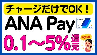 【ANA Pay】29日限定！ANA Payへのチャージで0.1〜5%還元率上乗せキャンペーン