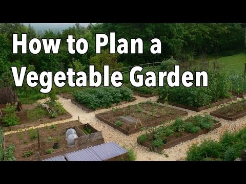 How to Plan a Vegetable Garden: Design Your Best Garden Layout How to Plan a Vegetable Garden: Design Your Best Garden Layout