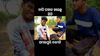 ବାସି ପଖାଳ ଖାଇଛୁ କିନି// sambalpuri comedy #minivlog #agnisahucomedy #comedy #funny #agnisahu #vlog