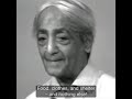 the function of the brain krishnamurti