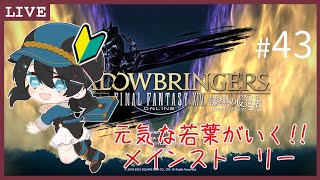 #43【FF14 / 初見プレイ】光を闇に。【ネタばれあり】【黒衣メイ / くろやぎ。】