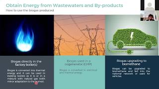 Webinar: Anaerobic Digestion: Green Solutions for Food & Beverage Industry