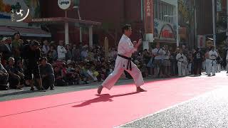 Karate Uechi-ryu - Sanseiryu kata  空手上地流  三十六型