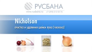 Обрезка лука, удаление шейки и корневища на оборудовании Nicholson