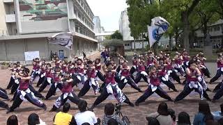 20190413長崎大学突風IN長大新歓祭　ソーラン節後から全体