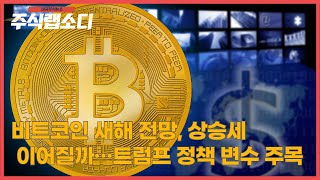 비트코인 새해 전망, 상승세 이어질까…트럼프 정책 변수 주목