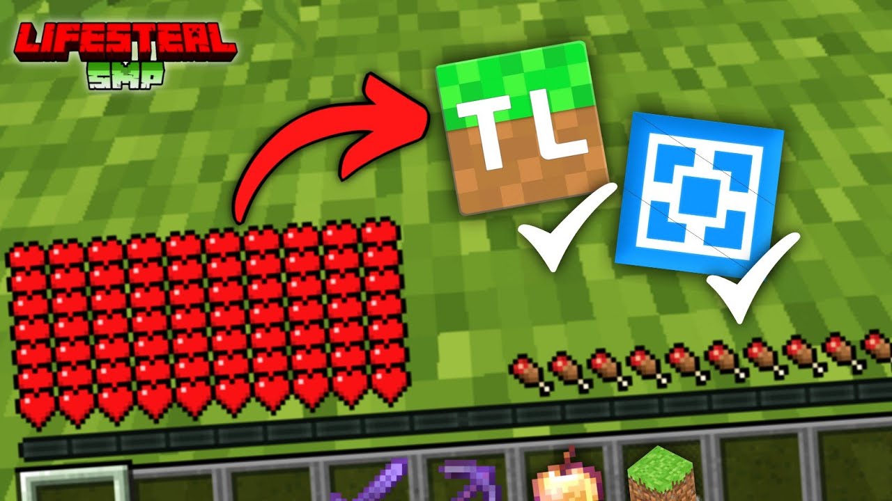 How To Get Infinite Hearts In Minecraft Lifesteal Smp Youtube