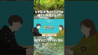 なぜ淡水魚のドジョウは腸でも呼吸するの？ #ポッドキャスト #科学 #雑学 本編→145. ブタはお尻で呼吸する？酔っ払いミミズを分離する？イグノーベル賞2024にツッコミを入れる！