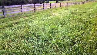 VID-20111003-00012