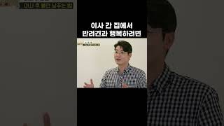 마지막이 포인트! 반려견과 이사 가기 전 필수 시청 #shorts