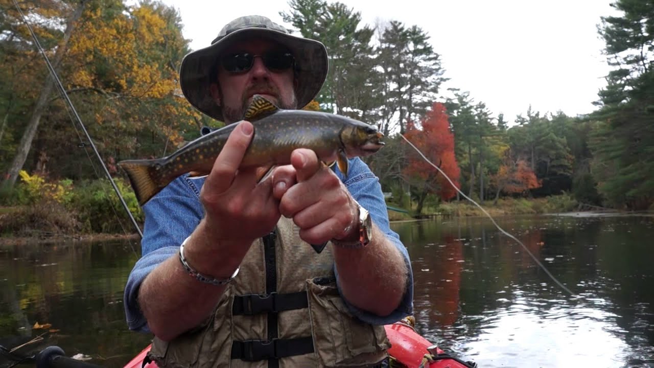 SWIFT RIVER BROOK TROUT JEQ1966, 10-15-2014 - YouTube