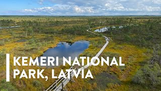 [4K] WALKING: KEMERI NATIONAL PARK, LATVIA