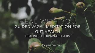 Guided Vagal Healing Meditation for Gut Health | Healing the Brain-Gut Axis