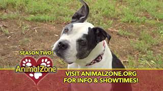 AnimalZone Season 2 Promo Spot