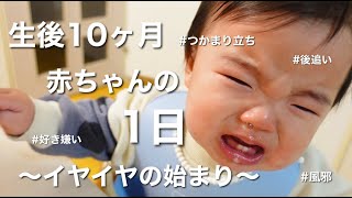 【生後１０ヶ月の赤ちゃんの１日】自我が出てきて大変になってきたワンオペ育児【３回食】