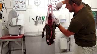 Frischling aus der Schwarte schlagen im hängen/ Little Wildboar Skinning