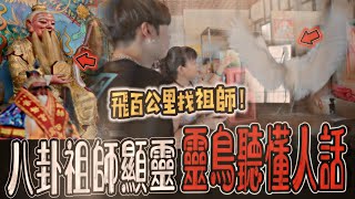 【求八卦祖師收徒Ep1】前來祖師廟拜師,竟遇有靈性白鳥！飛百公里尋找祖師爺！並聽得懂人話...｜ft.國王KING 【修行之路】【枋山八卦祖師廟】【都市傳說】【靈異探險】