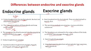 Endocrine vs Exocrine glands | Differences between exocrine and endocrine gland |