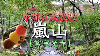 京都紅葉2021🍁【嵐山/常寂光寺】紅葉が進む嵐山紅葉の名所 ”常寂光寺” はアラフィフ女性の京都紅葉旅行におすすめ！（Kyoto Japan）