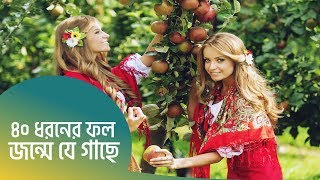 ৪০ ধরনের ফল জন্মে যে গাছে Tree Of Forty Fruit