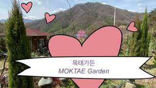 목태 가든 MOKTAE Garden 벌 나비 새들의 정원, 이른 봄에 피는 꽃