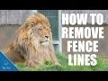 How to Remove Fence Lines: PHOTOSHOP TUTORIAL #49