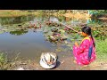 Fishing Video || Village girls have special experience in fishing || Fish catching trap